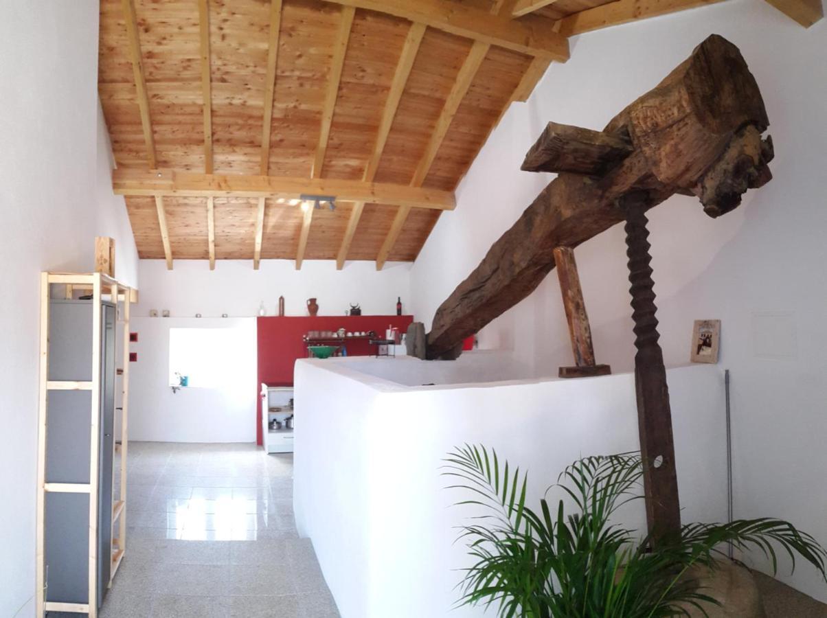 Quinta Quatro Ventos Sertã Exterior foto